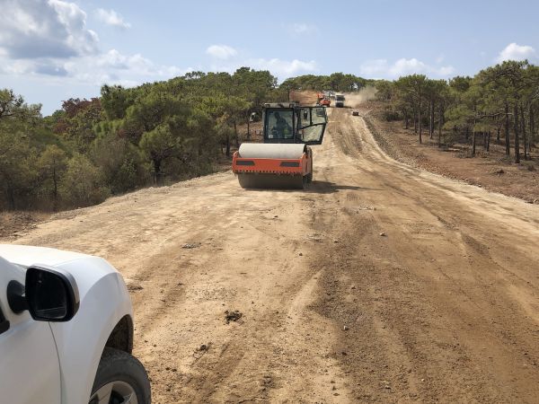Driveway Grading