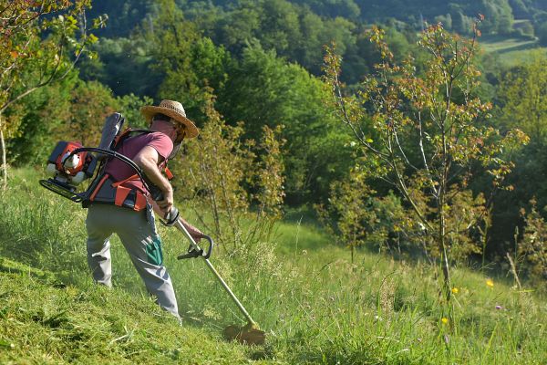 Cost of Slope Trimming in Bethlehem